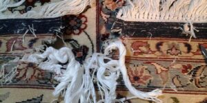BA-12 Rug repair | Fovama Oriental Rugs & Carpets