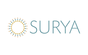 Surya | Fovama Oriental Rugs & Carpets